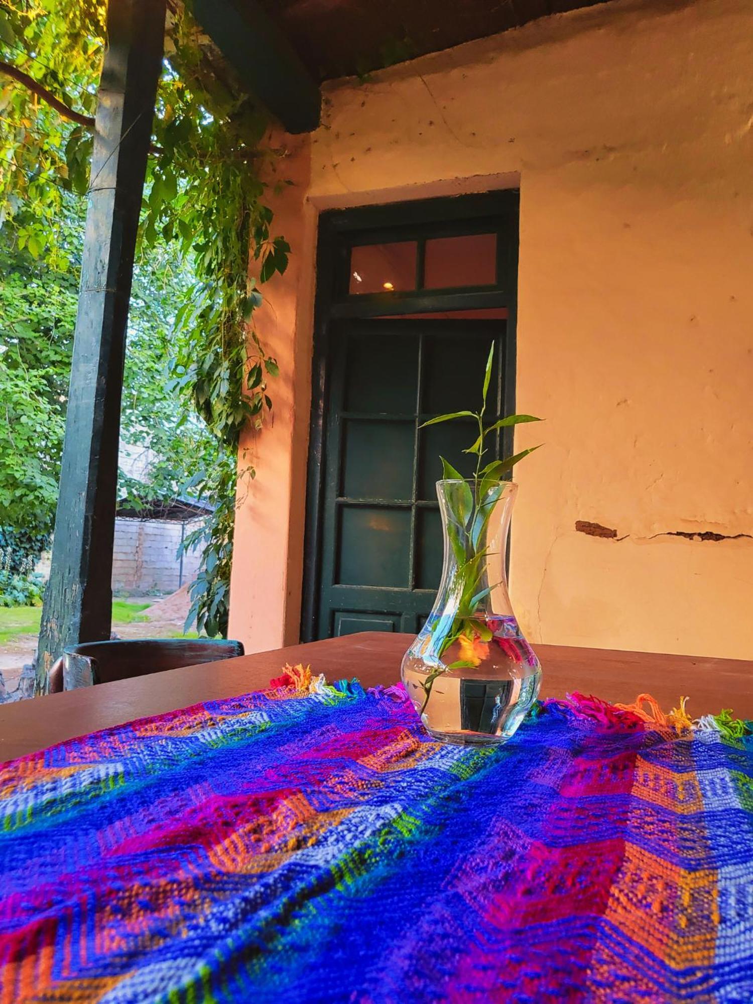 Casa Vidal Guesthouse Tupungato Exterior photo